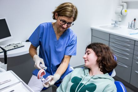 Zahnärztin Dr. Christiane Ternes beschreibt die richtige Zahnreinigung an einem Gebiss
